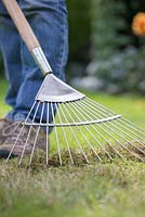 Woman raking grass - lawn care