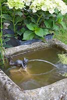 Frog water feature in small pond