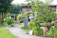 Pathway through garden with Rhus typhina - Staghorn sumac 