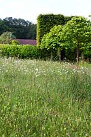 The Meadow at Veddw House Garden, Monmouthshire, Wales, UK.