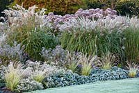 Autumn border with frost at Foggy Bottom, The Bressingham Gardens, Norfolk, UK