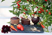 Chilli peppers with a selection of chocolate