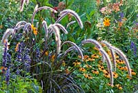 Cosmos sulphureus 'Diabolo', Pennisetum setaceum Kupfer', Salvia farinacea 'Evolution' and Zinnia angustifolia 'Profusion Orange'