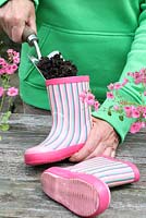 Step by step of planting a pair of recycled kids wellies with Diascia 'Little Dancer' - Filling wellies with compost