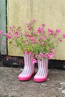 Step by step of planting a pair of recycled kids wellies with Diascia 'Little Dancer' - The finished container planting on a rustic doorstep