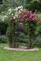 Gravel seating area with stone bench, wooden arbour, climbing roses and Clematis 