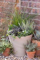 Step by step winter container with Carex, Calluna vulgaris 'Alicia' and Ophiopogon planiscapus 'Niger'