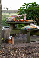 Picnic table with food and drinks