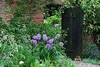 Allium aflatunense 'Purple Sensation' in border and rustic, wooden doorway leads to the front of the cottage - Sallowfield Cottage B&B, Norfolk