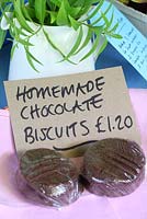 Homemade chocolate biscuits and jug of Verbena leaves to make tea in The Tea Shed - Cavick House Farm, Norfolk
