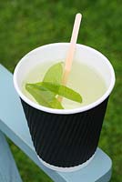Freshly made lemon verbena tea in a paper cup - The Tea Shed, Cavick House Farm, Norfolk