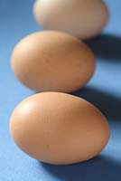 Free range, hyline hens eggs from Annabel's Egg Shed - Cavick House Farm, Norfolk