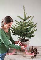 Step-by-step - Decorating Christmas tree, putting hessian sack and ribbon around pot