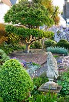 Stone eagle surrounded by clipped box and Aquilegia, with shaped Cotoneaster tree beyond - Bude Street, Appledore, Devon, UK