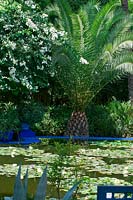 Pond with Nymphaea. Majorelle Garden, Marrakech, Morocco. 
