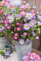 Asters arranged in decorative metal container
