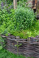 Herbal raised bed with Oregano, Thyme, Mint, Lemon Balm and Sage