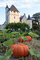 Potier de Gargantua - Chateau du Rivau, Lemere, Loire Valley, France