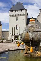 Decorated fountain - Chateau du Rivau, Lemere, Loire Valley, France