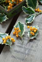 Fasten small bunches of berries on to the holly leaves by wrapping wire round the stems 