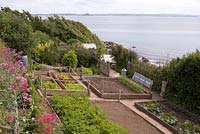 Raised beds on coastal allotment, Mousehole, Cornwall, Early summer