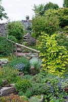 Steps leading up through a rockery garden, plants including Humulus lupulus 'Aureus', heathers, Weigela, Acer palmatum, Gentiana, Geranium, Dianthus, Campanula and Hebe 