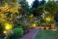 Mixed summer borders with spot lights at dusk  