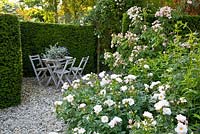 Seating area with Rosa 'Pearl Drift'