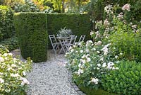 Seating area with Rosa 'Pearl Drift'
