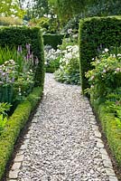 Pathway running through Summer borders with hedges separating garden rooms