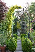 Clipped Buxus and Euonymus fortunei with decorative archways