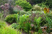 The hot border at Glebe Cottage with Crocosmia, Ricinus communis, Hedychiums and Cotinus