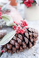 Frosty cone with cotoneaster berries