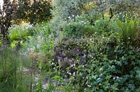 Evening light in the brick garden at Glebe Cottage with geraniums, fennel and Erigeron karvinskianus - Mexican daisy