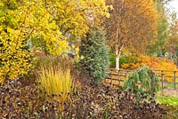 Mixed Autumn border in Adrian's Wood, The Bressingham Gardens, Norfolk, UK.