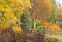 Mixed Autumn border in Adrian's Wood, The Bressingham Gardens, Norfolk, UK.