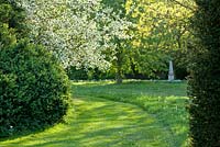 Grass pathway and blossoming trees - Wretham Lodge, Norfolk