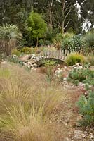 Desert Wash garden. Planting includes Stipa tennuissima, Yuccas and Euphorbias - East Ruston Old Vicarage 