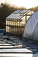 First light on the greenhouse and polytunnel at Glebe Cottage