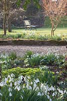 Lawn with wooden bench and bed of Galanthus - Dial Park