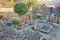 Brassica oleracea, Laurus nobilis, Buxus topiary and Allium porrum - Dial Park