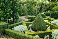 Knot garden with box and Santolina - Wyken Hall, Suffolk