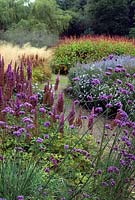 Path through swathes of early Autumn colour in the Millenium Garden at Pensthorpe Nature Reserve, Norfolk