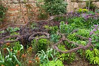 Perennials supported by woven birch twigs in the Oast garden at Perch Hill