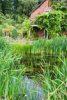 Wildlife pond surrounded by grasses, bulrushes and Wisteria covered barn beyond - Rhodds Farm, Kington, Herefordshire, UK