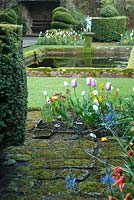 Formal pond near house surrounded by yew hedging, beds of tulips and wallflowers, and box topiary. Wayford Manor, Wayford, Crewkerne, Somerset, UK