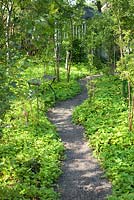 Path through Prunus - Plum grove underplanted with Fragaria vesca - Wild Strawberries - Ulla Molin