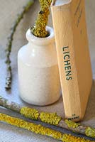 An Observer's Book of Lichen, old pot and twigs with lichen on linen
