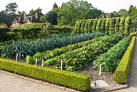 Vegetable beds including leeks, lettuce and French parsley growing in the Walled Garden at West Dean, Sussex
