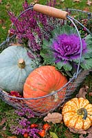 Ornamental Cabbage, Heathers, Squash, pumpkin and rosehips in a wire basket